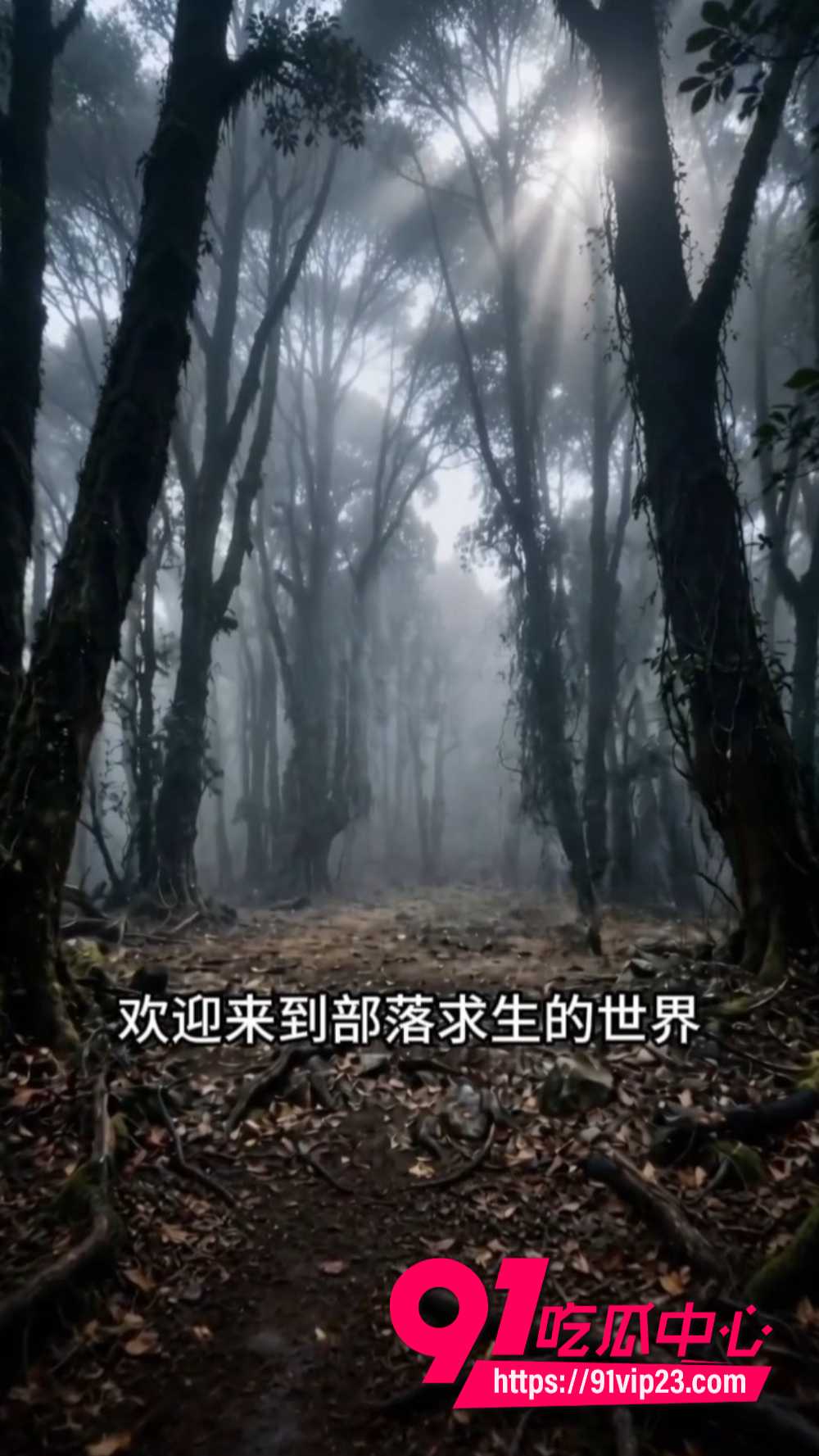 全班穿越就我一男的8