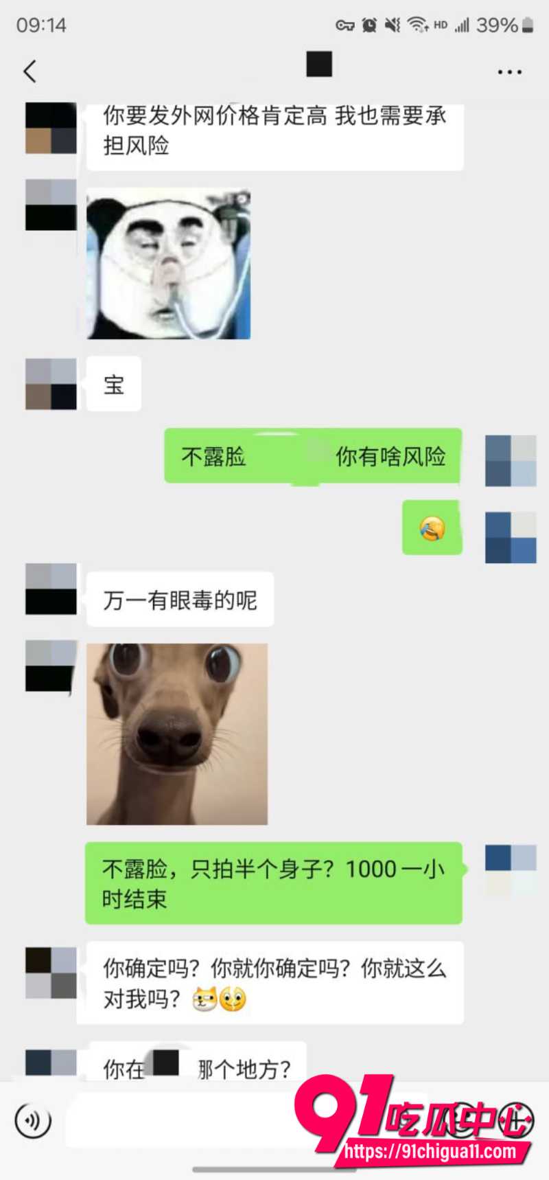 老虎菜42