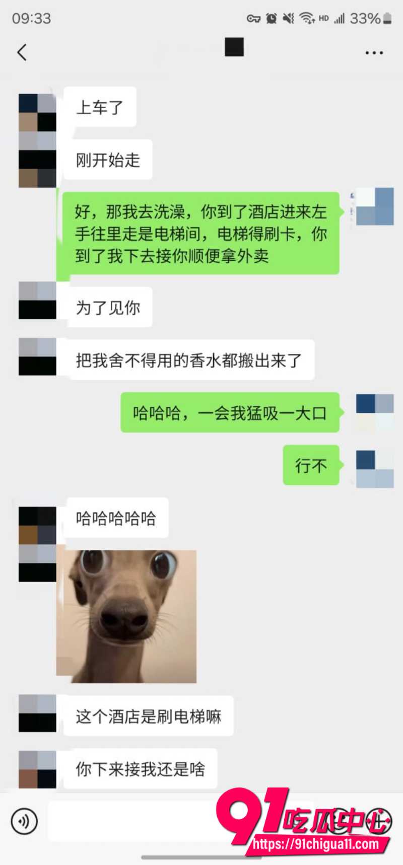 老虎菜35