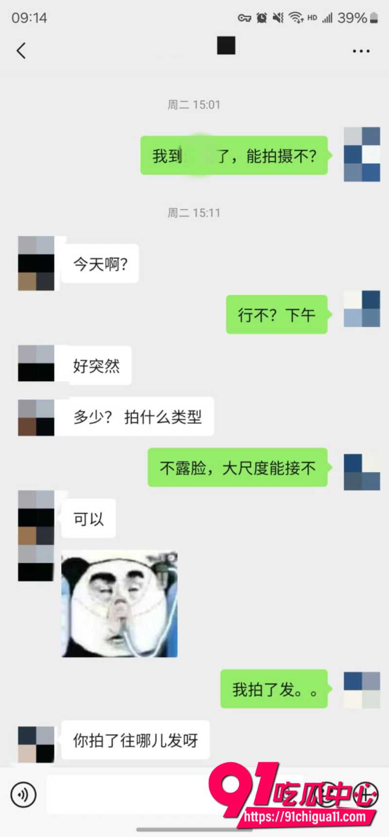 老虎菜40