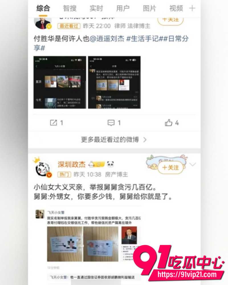 飞天小女警实名举报舅舅付胜华 14