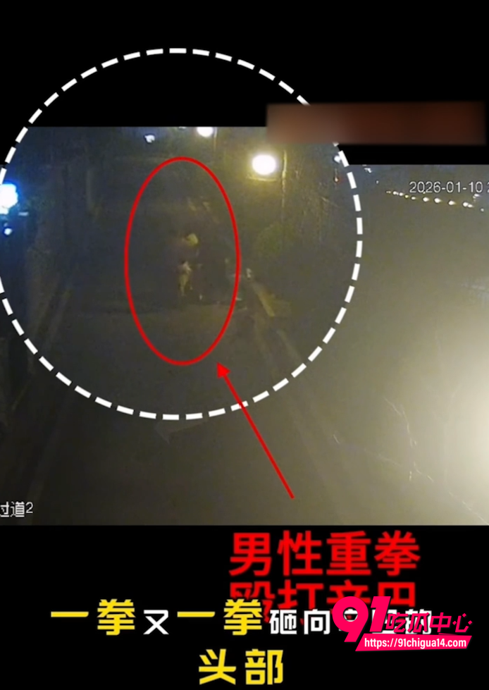 支部书记王彬遛狗打人事件5