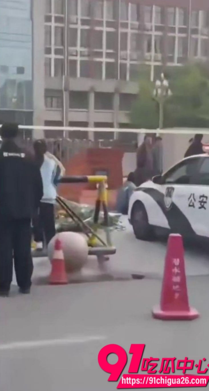 濮阳学子衣柜上吊3