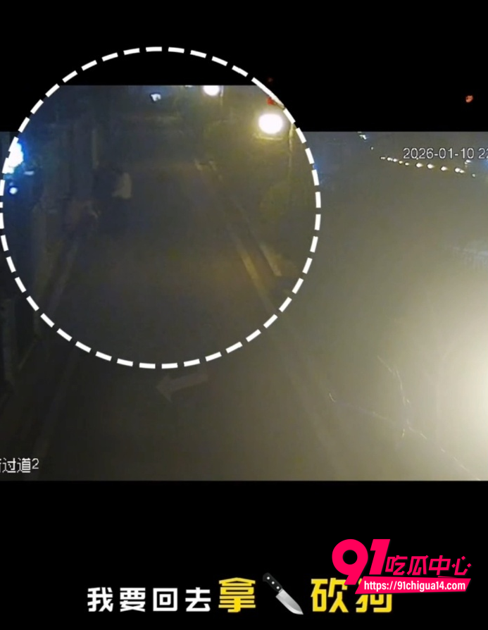 支部书记王彬遛狗打人事件6